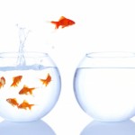Expats traveling relocation