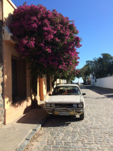Wandering through the quaint, little town of Colonia, Uruguay. 